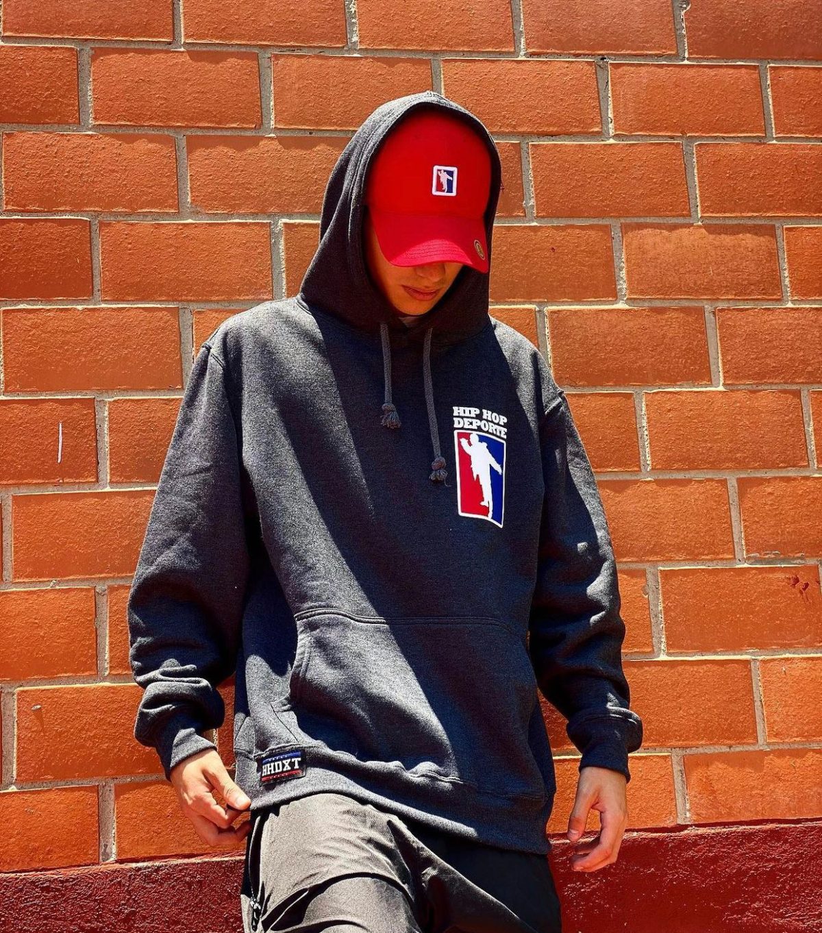 Sudadera Gris Clásica HHDXT