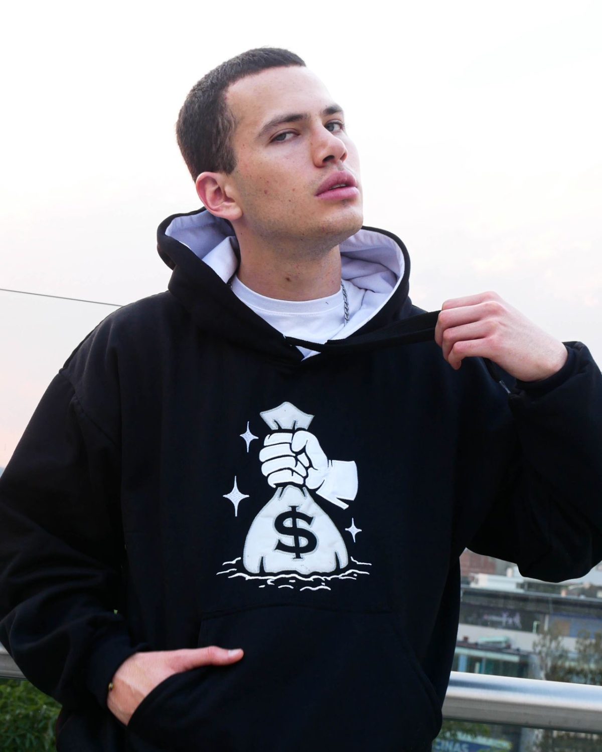 Sudadera Homegrown Money